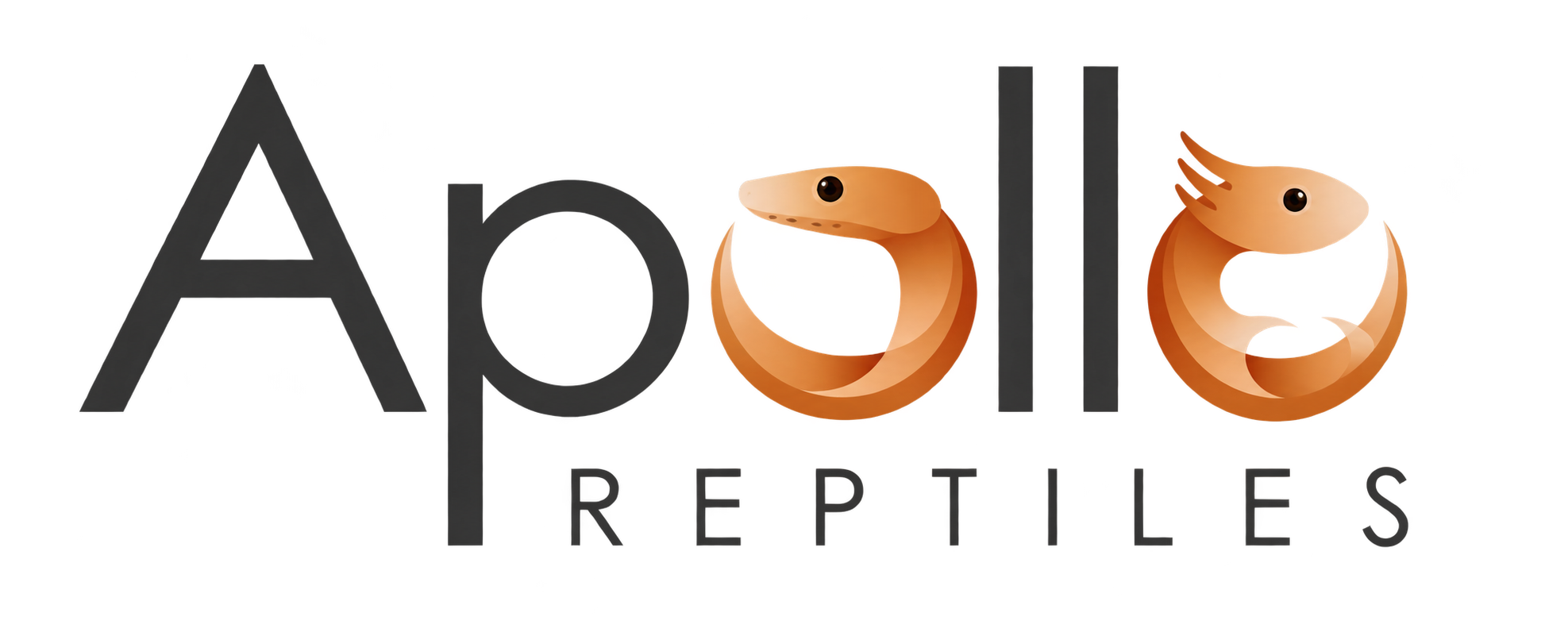 Apollo Reptiles